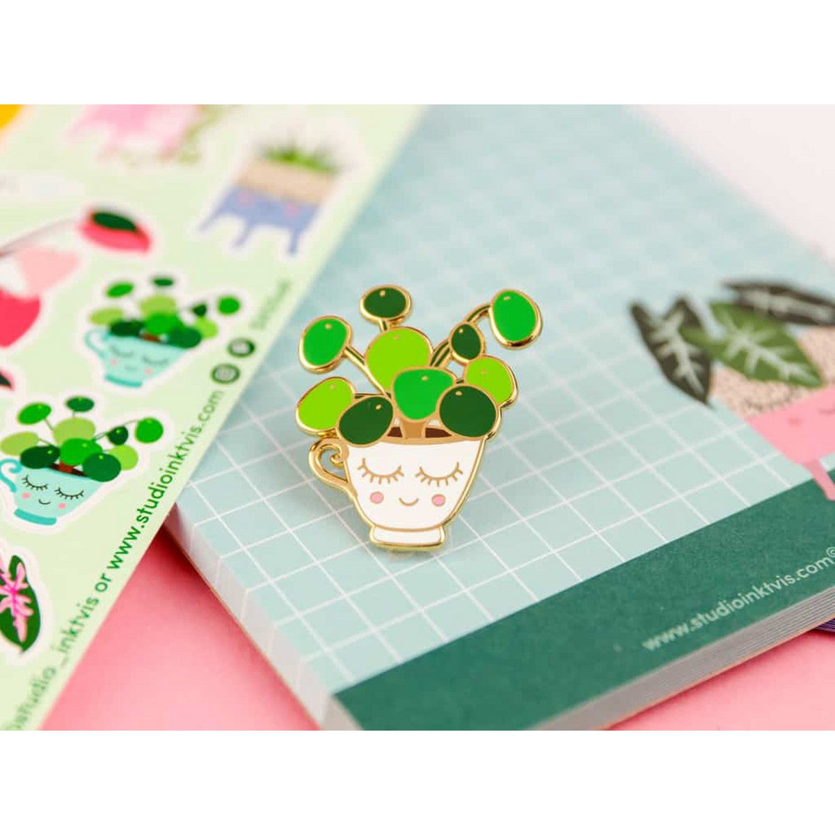 Pin Pilea pannenkoekplant